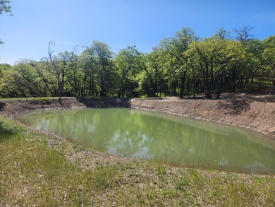 This beauty has it all, private 40 acres with gorgeous views of - photo 4