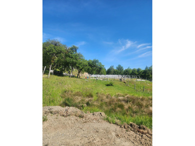 This beauty has it all, private 40 acres with gorgeous views of - photo 5