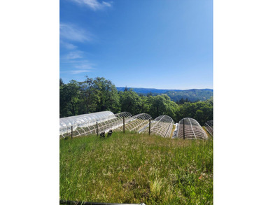 This beauty has it all, private 40 acres with gorgeous views of - photo 6