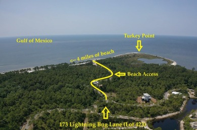 (private lake, pond, creek) Lot For Sale in Sopchoppy Florida