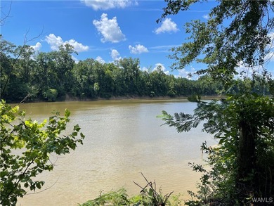 Black Warrior River Home For Sale in Moundville Alabama
