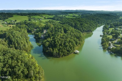 Lake Lot For Sale in Piney Flats, Tennessee