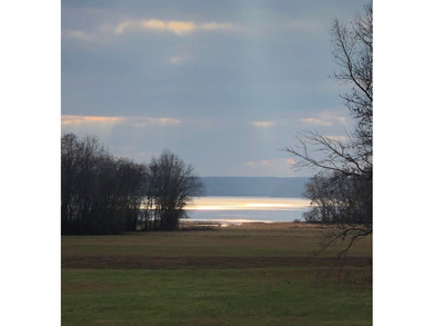 Lake Views! Enjoy breathtaking, unobstructed views of the water - photo 45