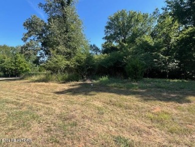 Lake Lot For Sale in Rockwood, Tennessee