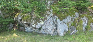 Enchanting waterfront property made up of 2 lots has location - photo 22