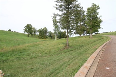 Dillon Lake Lot Sale Pending in Zanesville Ohio