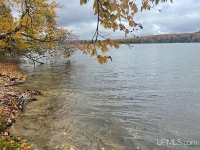 (private lake, pond, creek) Acreage Active Under Con in Iron River Michigan