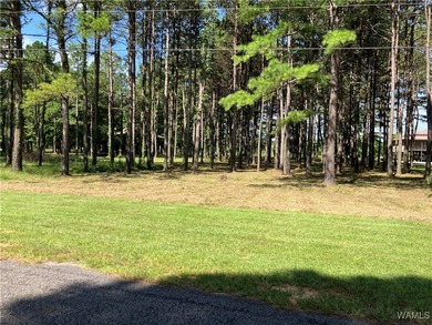 Black Warrior River Lot For Sale in Akron Alabama