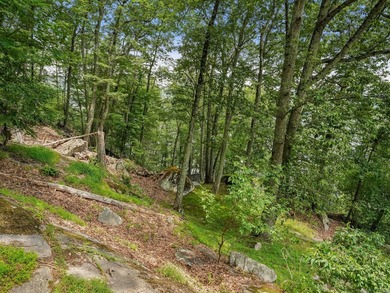 One-of-a-Kind Lakefront Retreat on Candlewood Lake - 14+ Acres - photo 31