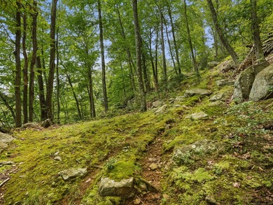One-of-a-Kind Lakefront Retreat on Candlewood Lake - 14+ Acres - photo 34