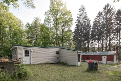 Canadice Lake Home For Sale in Springwater New York
