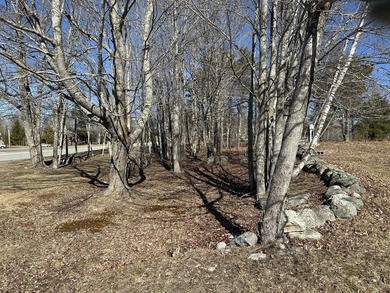 Beautiful partially cleared 1.5 acre lot close to the center of - photo 14