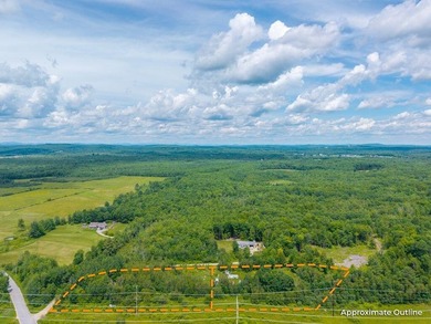 Almost 4 acres, ready for its new owner! Property may be - photo 4