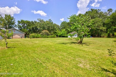 Looking for a move in ready 3 bedroom home in Gulfport with room - photo 41