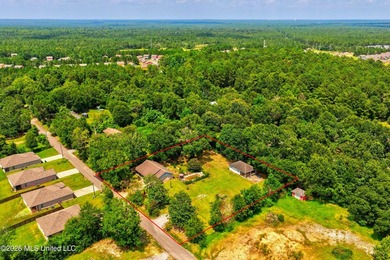 Looking for a move in ready 3 bedroom home in Gulfport with room - photo 48