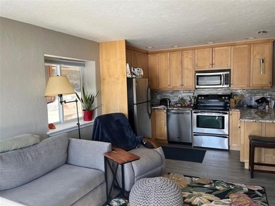 Location, location, location! Lake Dillon shorefront, walk out - photo 2