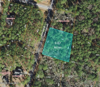Lot 123 offers 0.87 acres in the desirable waterfront community - photo 1