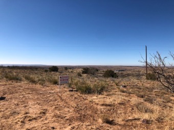 Lake Lot Off Market in Logan, New Mexico
