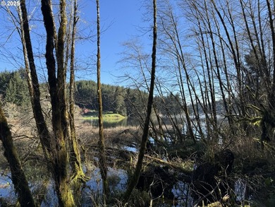 LARGE, 24.38 +/- ACRES OVER TWO TAX PARCELS (#1402/#1403) - photo 2