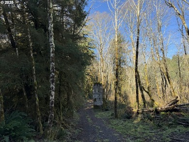 LARGE, 24.38 +/- ACRES OVER TWO TAX PARCELS (#1402/#1403) - photo 4