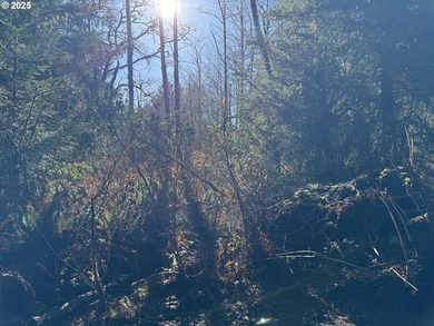 LARGE, 24.38 +/- ACRES OVER TWO TAX PARCELS (#1402/#1403) - photo 9
