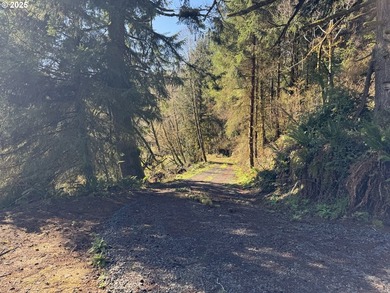 LARGE, 24.38 +/- ACRES OVER TWO TAX PARCELS (#1402/#1403) - photo 10