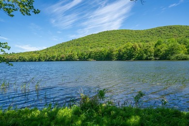 Build-ready waterfront lot on beautiful Levenseller Pond! This - photo 11