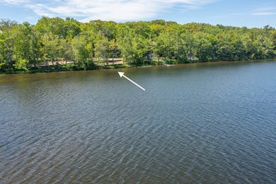 Build-ready waterfront lot on beautiful Levenseller Pond! This - photo 14