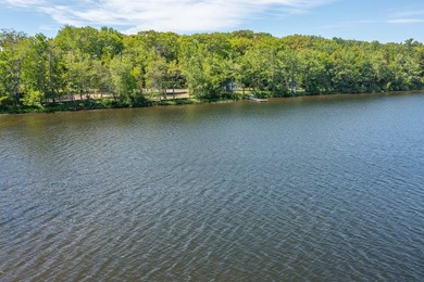 Build-ready waterfront lot on beautiful Levenseller Pond! This - photo 15