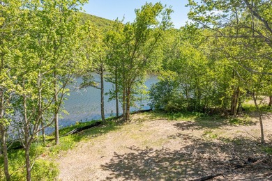 Build-ready waterfront lot on beautiful Levenseller Pond! This - photo 18