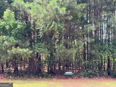 Twin Lakes - Fulton County Lot For Sale in Fairburn Georgia