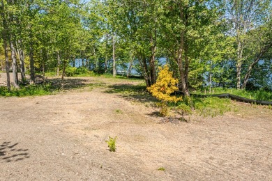 Build-ready waterfront lot on beautiful Levenseller Pond! This - photo 22