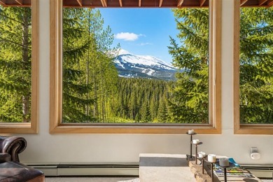A rare ski-in/ski-out retreat tucked against National Forest - photo 5