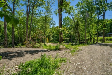 Build-ready waterfront lot on beautiful Levenseller Pond! This - photo 26