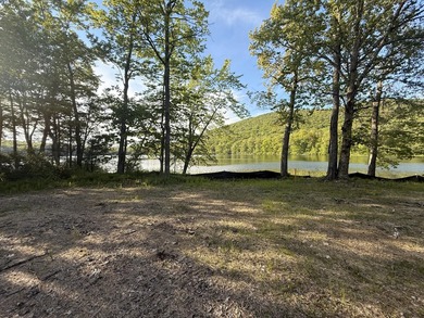Build-ready waterfront lot on beautiful Levenseller Pond! This - photo 30