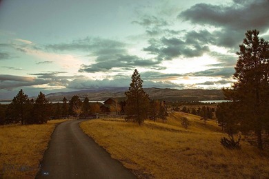There are plenty of luxury homes. There are very few places - photo 43