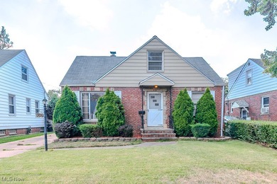 Lake Erie - Lake County Home For Sale in Willowick Ohio