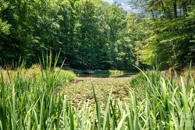 A rare opportunity awaits to own this gated 26-acre estate - photo 34