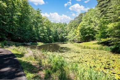 A rare opportunity awaits to own this gated 26-acre estate - photo 35