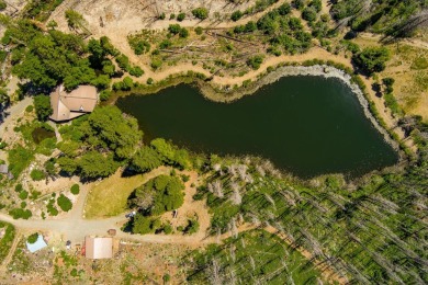 (private lake, pond, creek) Home For Sale in Trinity Center California