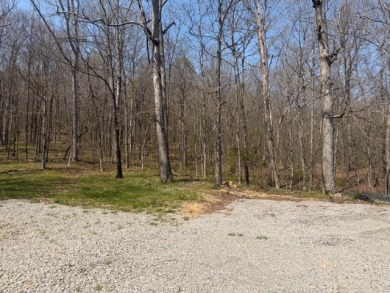 Motivated Seller!  Have Chickens,? Wanna HUNT from your Property? - photo 37