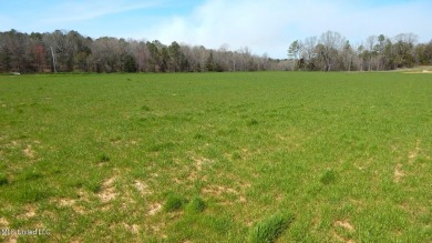 Lake Lot For Sale in Gore Springs, Mississippi