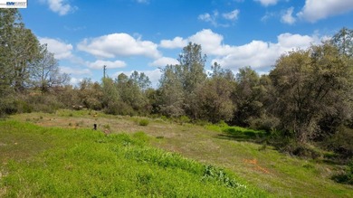 Nestled in the tranquil, tree-lined streets of Shingle Springs - photo 33