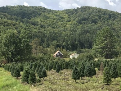 Connecticut River Acreage For Sale in Stewartstown New Hampshire