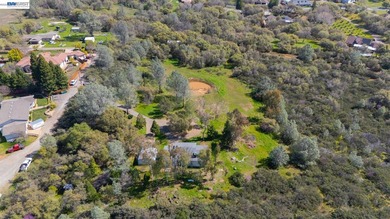 Nestled in the tranquil, tree-lined streets of Shingle Springs - photo 42