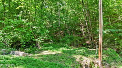 Lake Acreage For Sale in Clinton, Tennessee