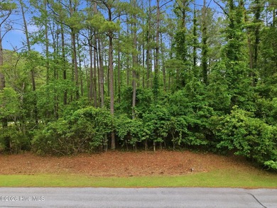 Homesite on Live Oak Lane in the sought-after waterfront - photo 3
