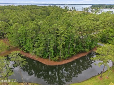 Homesite on Live Oak Lane in the sought-after waterfront - photo 5