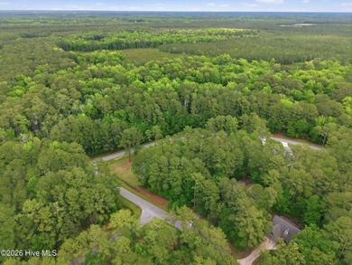 Homesite on Live Oak Lane in the sought-after waterfront - photo 8
