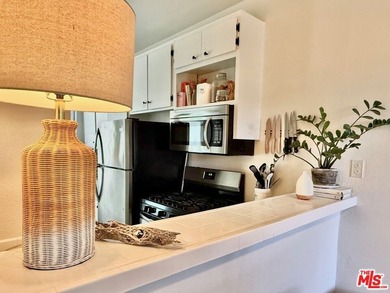 Experience the best of coastal living in Venice Beach. This - photo 14